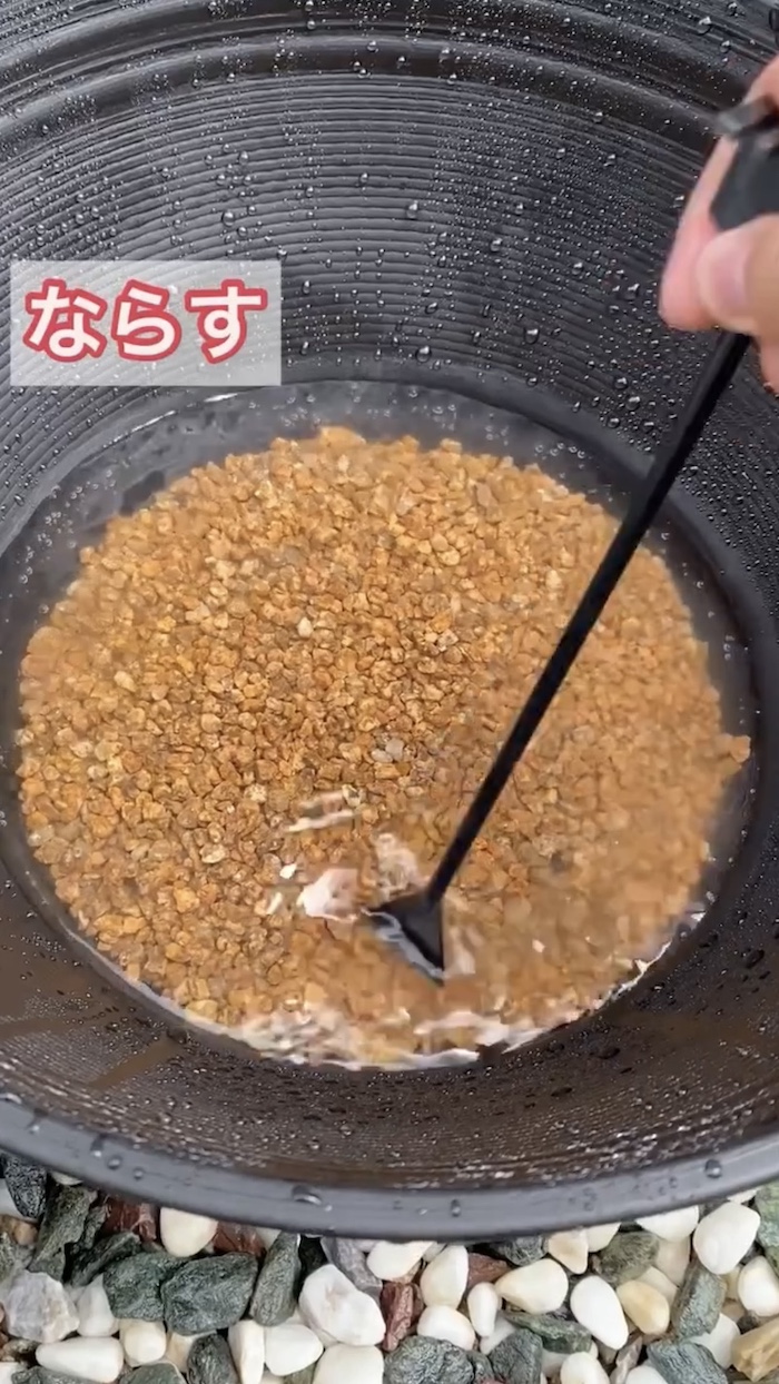 簡単ビオトープづくり、低床の麦飯石をならす