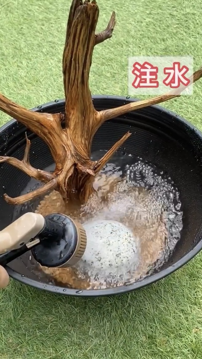 簡単ビオトープづくり、注水