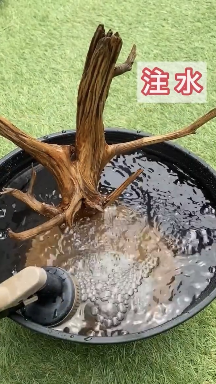 簡単ビオトープづくり、注水