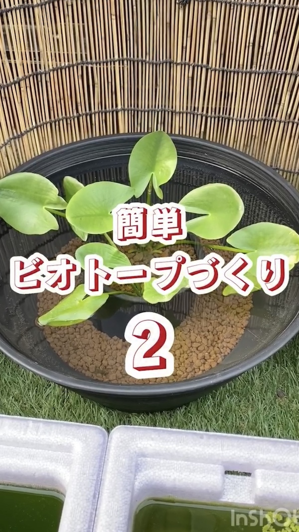 簡単ビオトープづくり