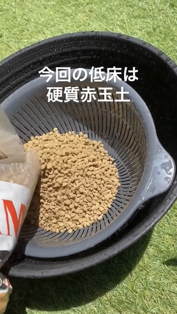簡単ビオトープづくり、低床の硬質赤玉土を使用