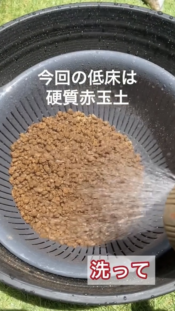 簡単ビオトープづくり、低床の硬質赤玉土を洗う