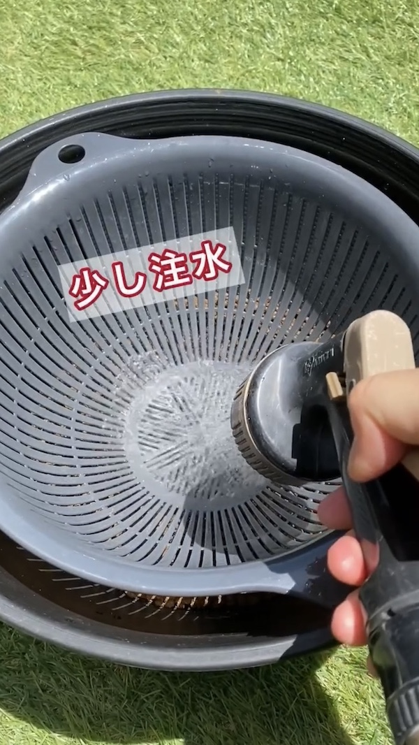 簡単ビオトープづくり、ザルを使って少し注水