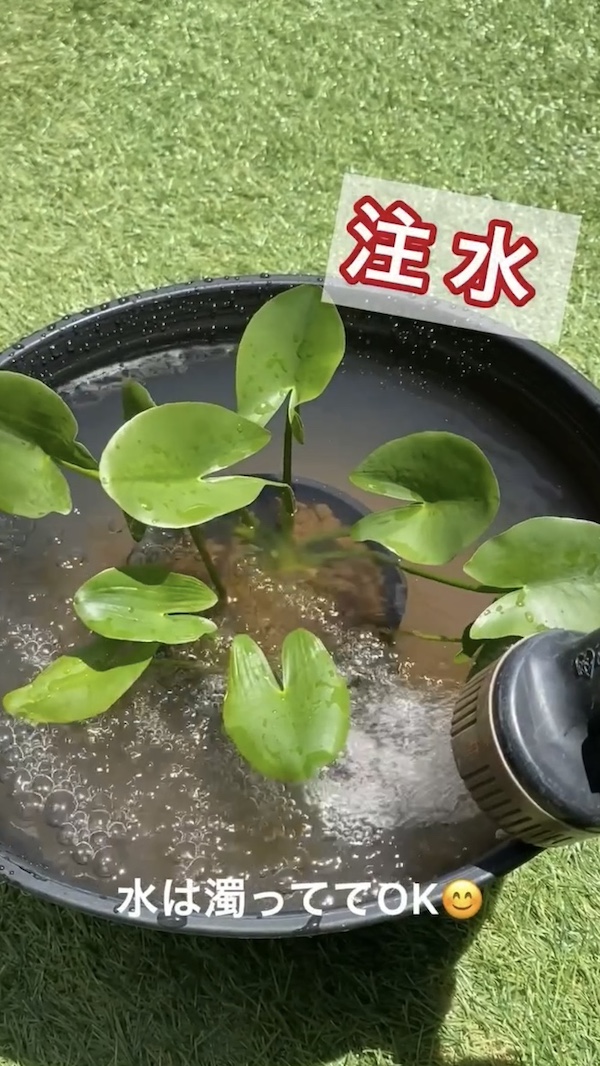 簡単ビオトープづくり、注水