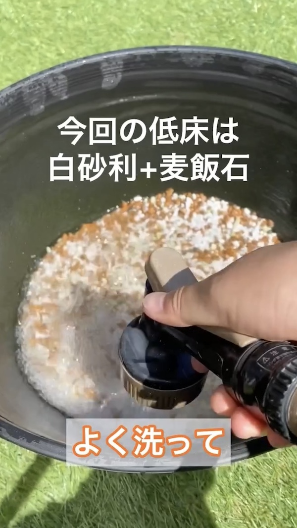 簡単ビオトープづくり、低床は白砂利と麦飯石
