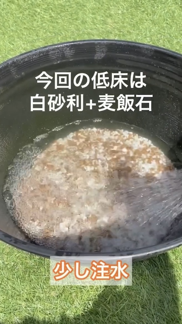 簡単ビオトープづくり、少し注水