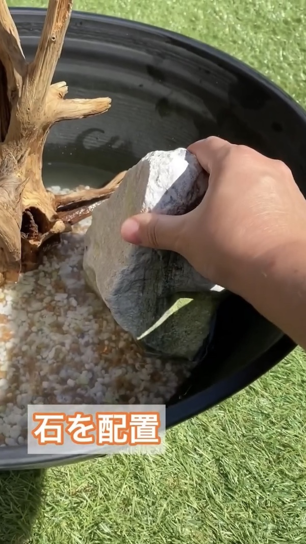 簡単ビオトープづくり、石を配置