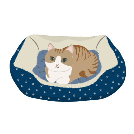 猫ベッドでくつろぐ猫