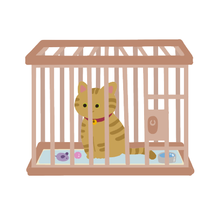 ケージに入っている猫