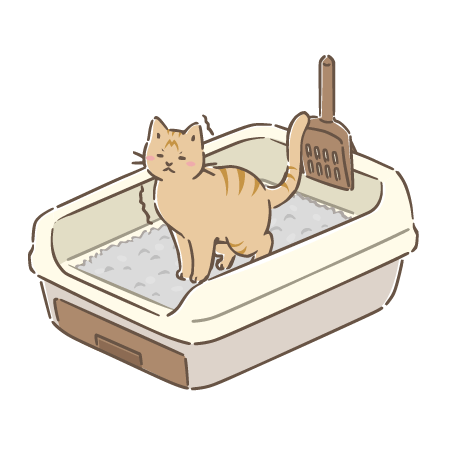 システムトイレで用を足す猫