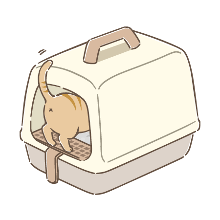 ドーム型の猫トイレに入る猫