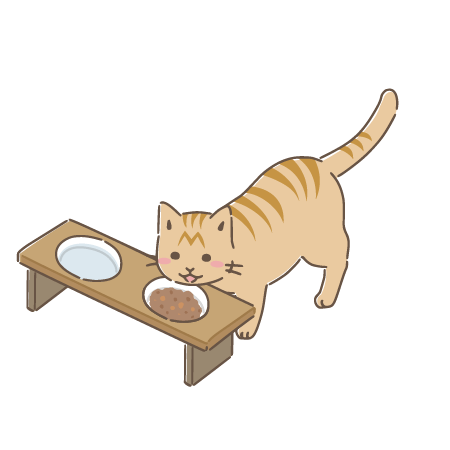 ご飯を食べる猫