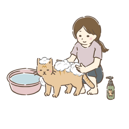 猫のシャンプーをする女性